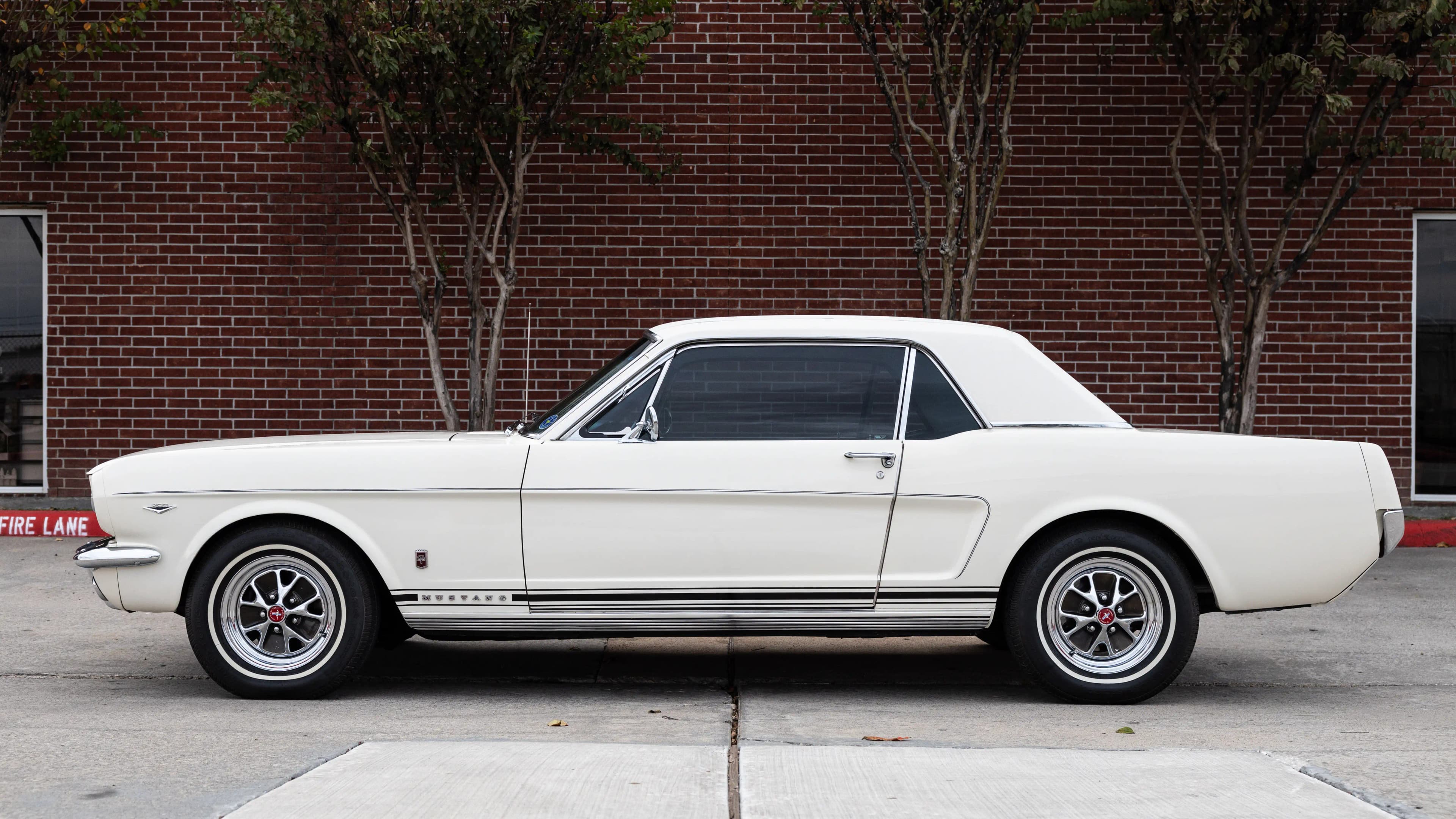 1965 Ford Mustang GT at Driven in Houston, Texas 77041