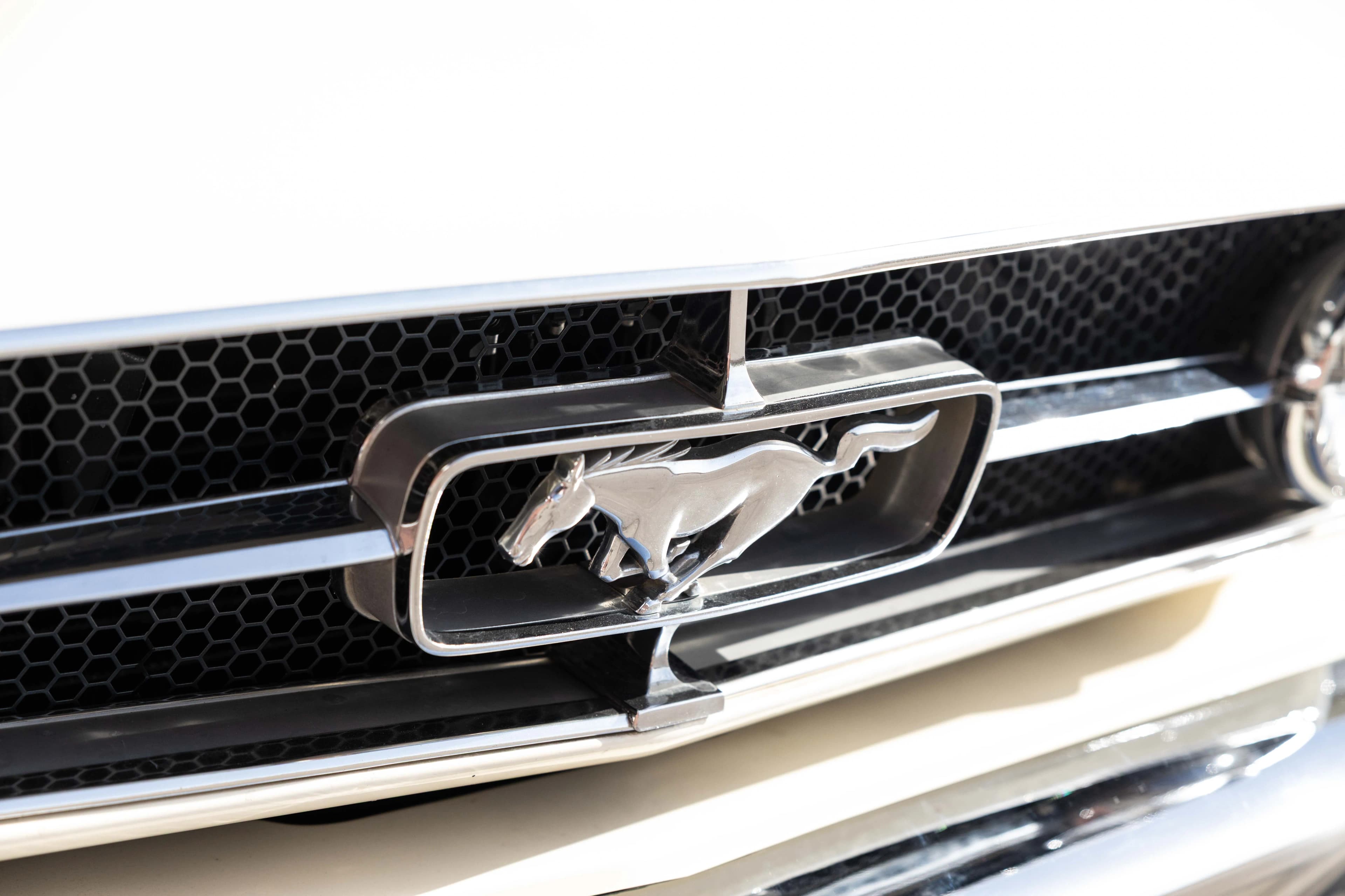 1965 Ford Mustang GT at Driven in Houston, Texas 77041